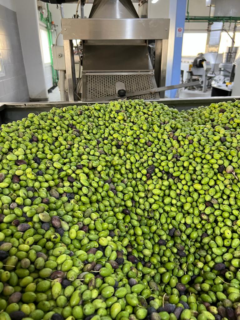 The cold extraction method - La méthode de l’extraction à froid